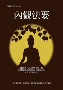 內觀法要